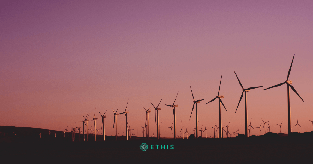 Integrating Sustainability through Business Model Innovation