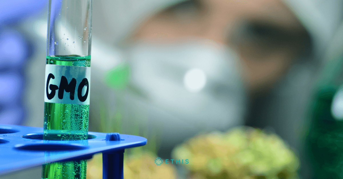 Investments in Genetically Modified Organisms